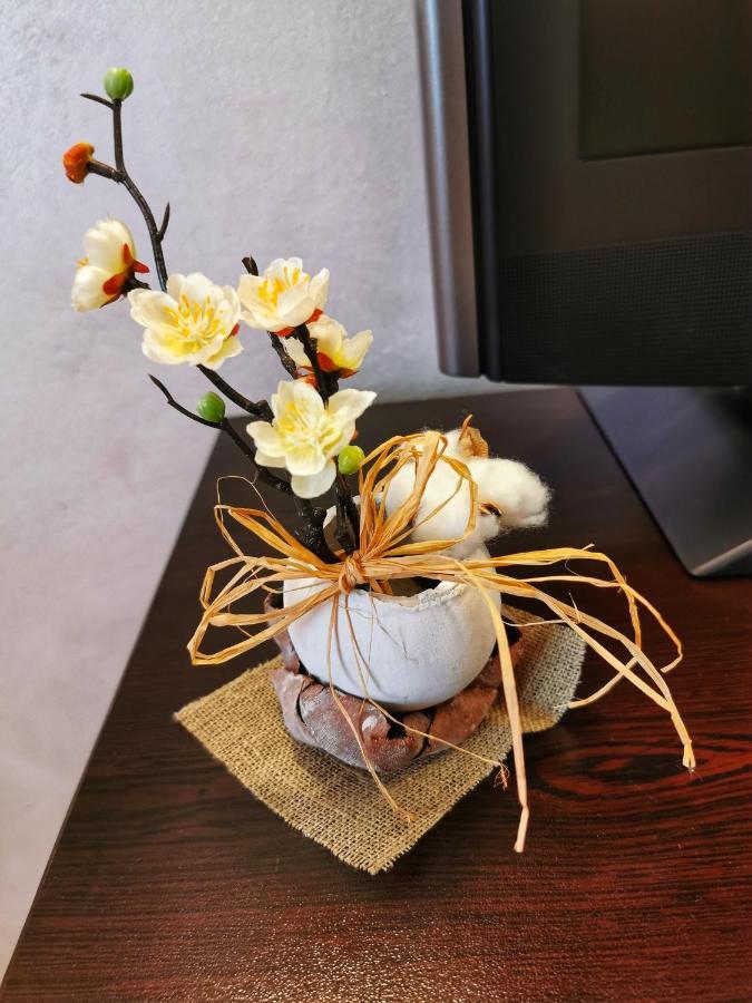 Hotel Swiss Szumen Zewnętrze zdjęcie